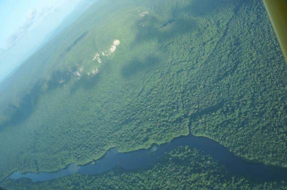 O rio e a floresta na parte baixa de Kaiteyr Falls, na Guiana